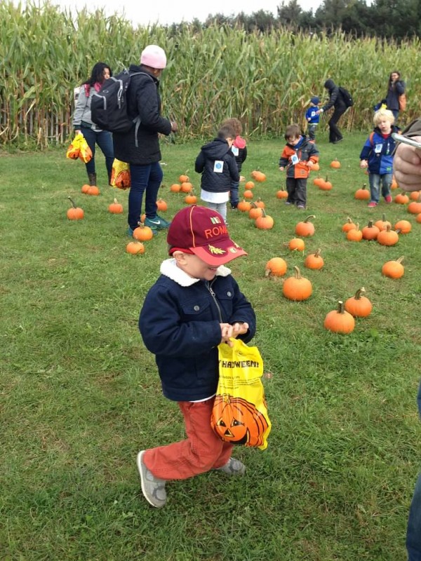 Picking Pumpkins